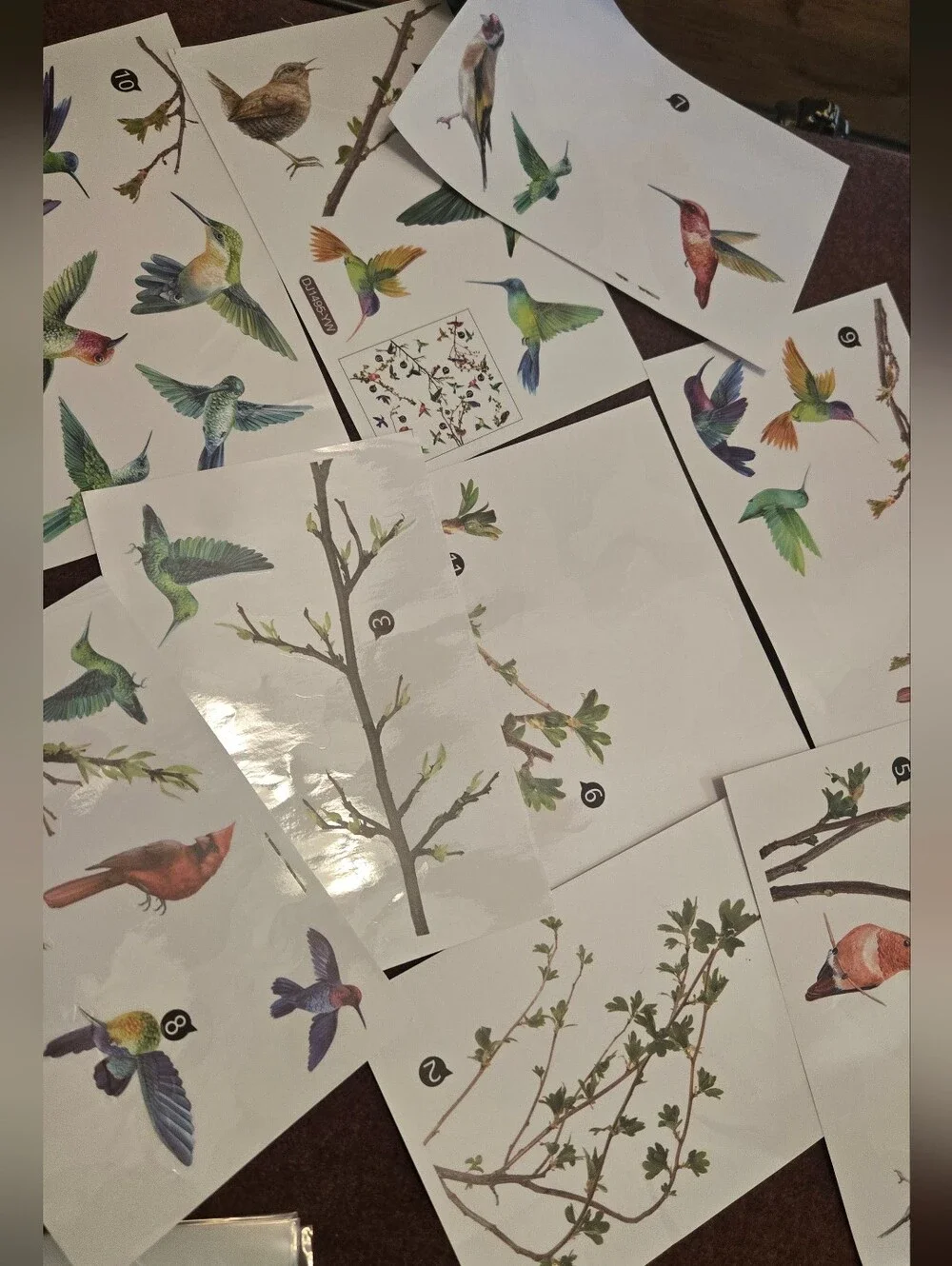 Bird & Branch Vinyl Window Clings Reusable No Adhesive